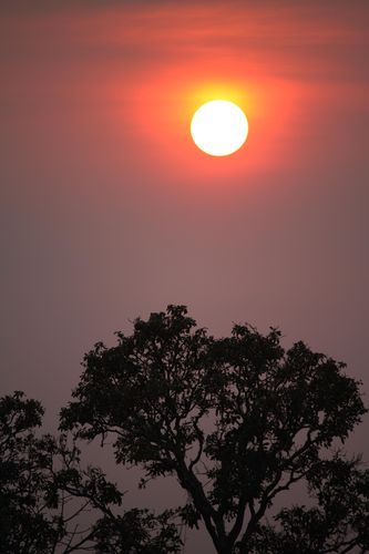 心洗われる夕日