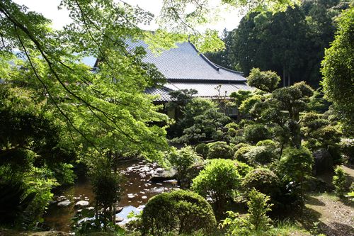 浄蓮寺～裏庭から本堂を見る