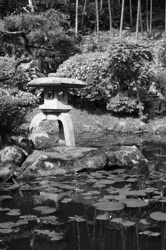 浄蓮寺～池と灯篭