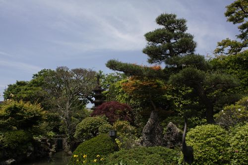 室田家～しっかりとデザインされた池水庭園