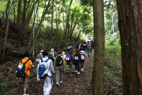 9時11分 いよいよそれらしい道へ