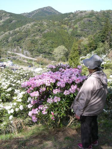 個人所有の山らしい