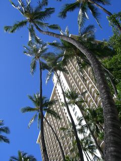 プールから見上げた空