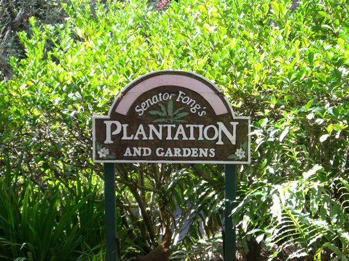 Senator Fong's Plantation & Gardens