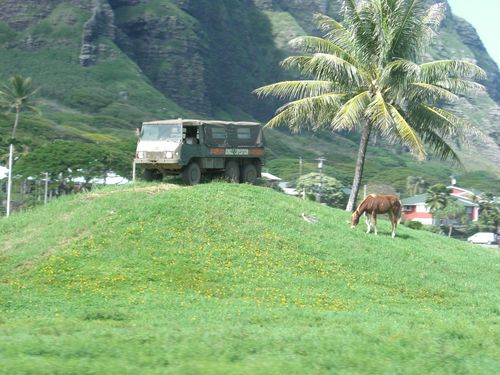 Kualoa Ranch