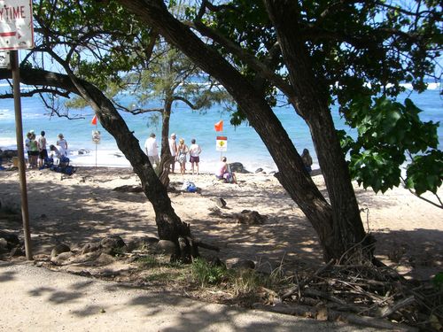 Laniakea Beach