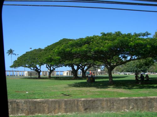 Haleiwa Beach Parkかな？