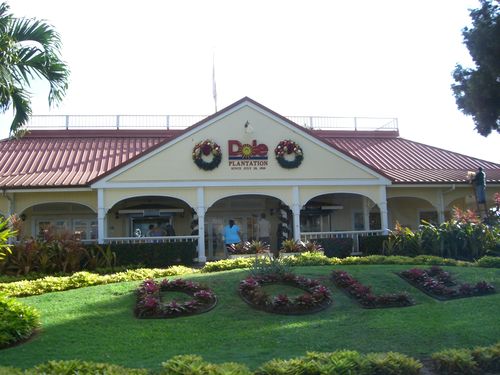 Dole Plantation