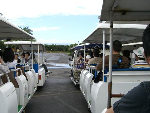 園内はトロッコで移動